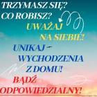Fotka nr 3 z 27