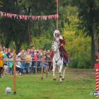 zdjęcie nr 78