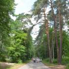 zdjęcie nr 15