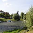 zdjęcie nr 34