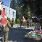 zdjęcie nr 87