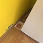 Trutka rozłożona przez pracowników TBS