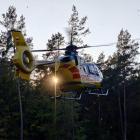 Fotka nr 1 z 2