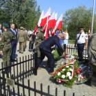 zdjęcie nr 31