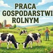 zdjęcie nr 