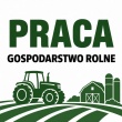 zdjęcie nr 
