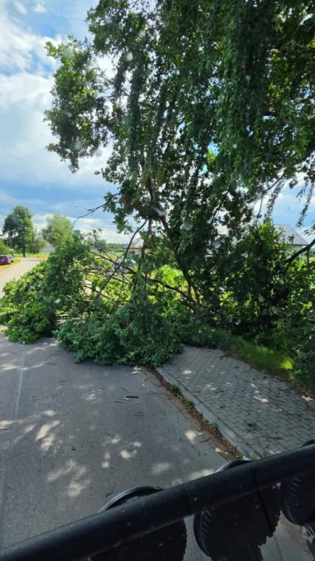 Bilans tygodnia pułtuskiej straży: 35 interwencji. Najwięcej pracy przysporzyła pogoda