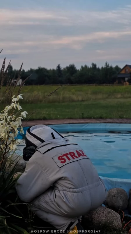 Gorący tydzień pułtuskich strażaków. Walka z ogniem i groźnymi owadami w powiecie
