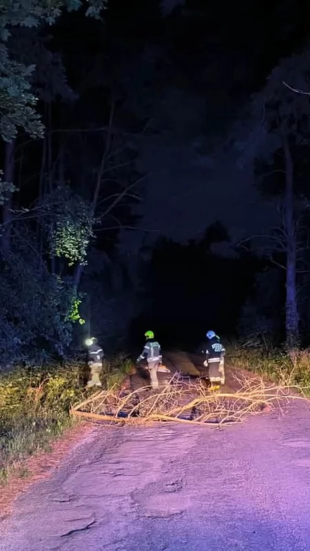 Nocna interwencja strażaków w Trzcińcu 
