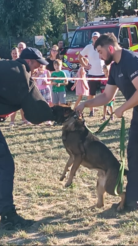 Pułtuscy policjanci na Pikniku Militarnym. Uwagę przyciągał pokaz psów