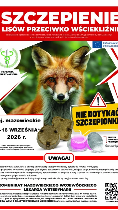 Akcja szczepienia lisów przeciwko wściekliźnie w woj. mazowieckim