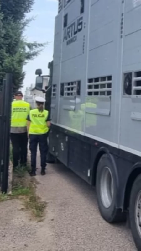  Bezpieczeństwo i dobrostan w trasie. Wspólne kontrole pułtuskiej policji oraz Inspekcji Weterynaryjnej