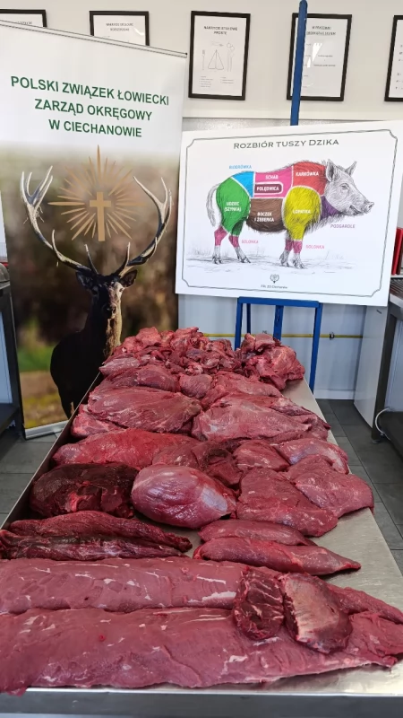 Dziczyzna bez marnowania. Jak myśliwi wykorzystują upolowane zwierzę?