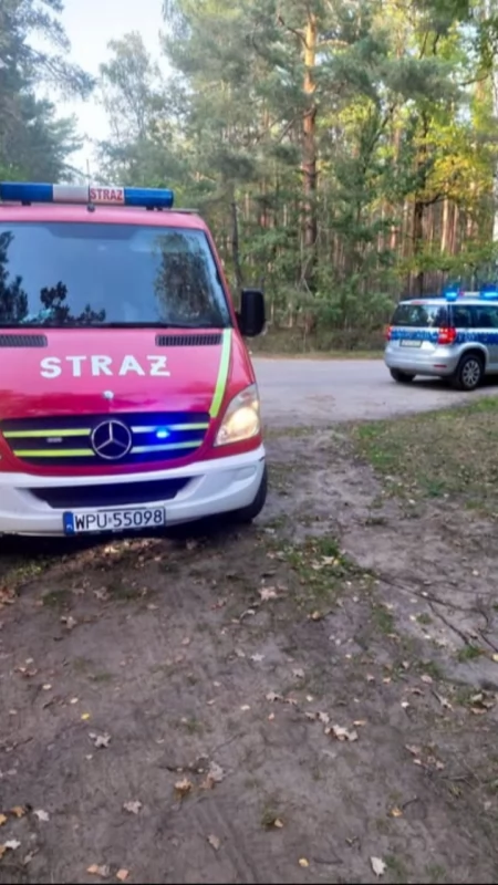 Stracił orientację w lesie, ale miał przy sobie komórkę. Służby szybko odnalazły 76-latka