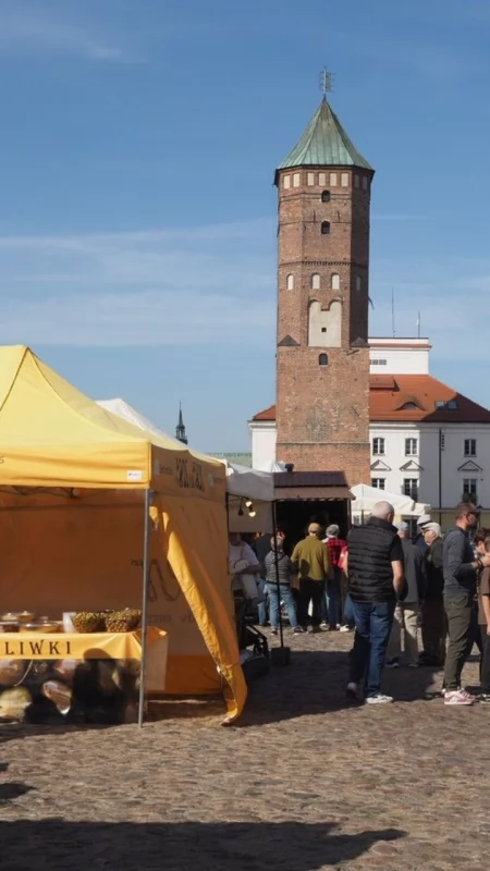 VI Jarmark Staropolski „Kupieckim Szlakiem” trwa na pułtuskim rynku. Mnóstwo atrakcji, rzemiosła, tradycyjnych smaków i... przesympatyczne alpaki