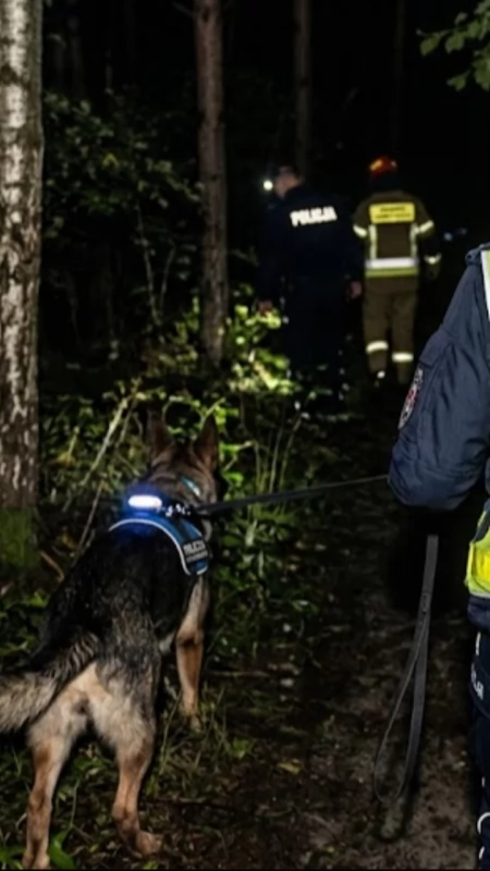 Nocne poszukiwania w gminie Zatory. Pies tropiący odnalazł zaginionego 34-latka