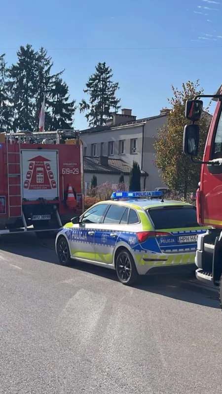 Fałszywe alarmy bombowe w trzech urzędach w powiecie pułtuskim. Służby postawione w stan gotowości