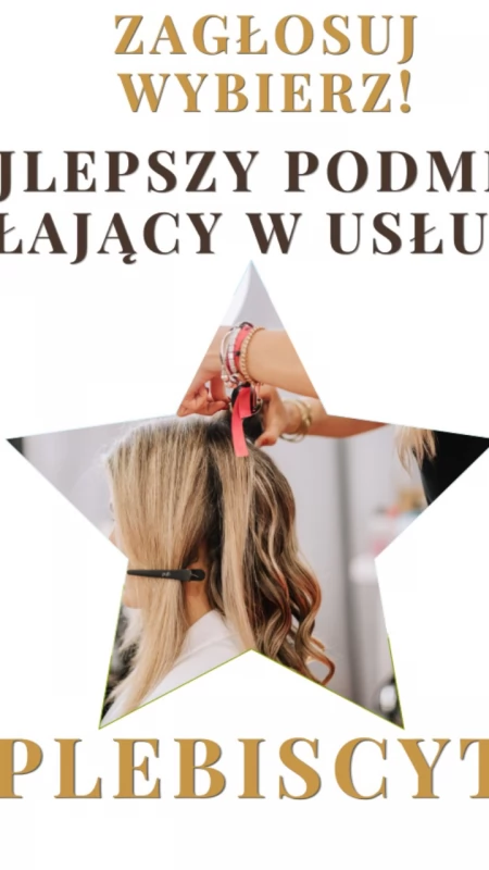 Wybierz najlepszy podmiot działający w USŁUGACH w Pułtusku i powiecie pułtuskim – plebiscyt 