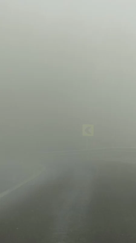 Gęsta mgła sparaliżuje drogi w powiecie pułtuskim. IMGW wydało żółty alert