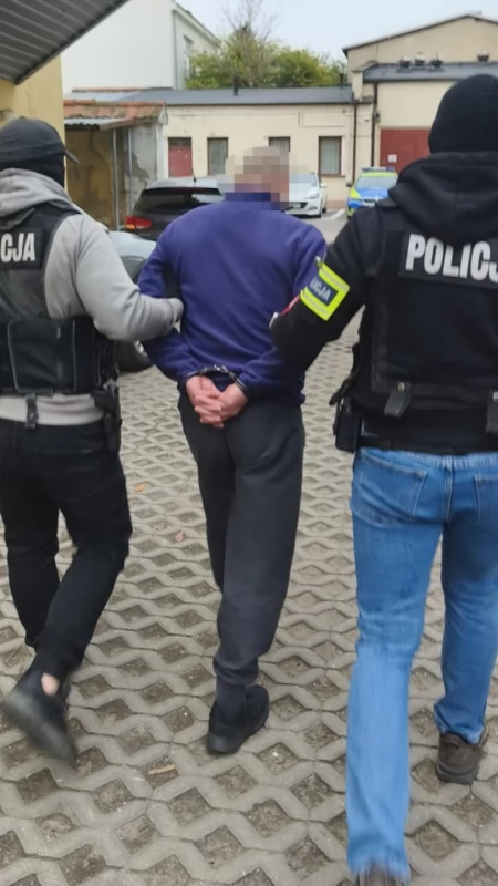 Marihuana na polu kukurydzy