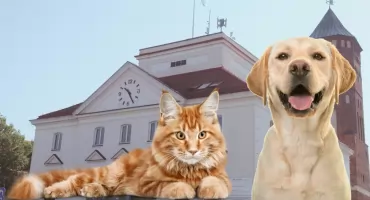  Gminna Społeczna Komisja ds. Ochrony Zwierząt powołana. Kto wszedł w jej skład?