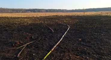 Pożar traw i trzcin niedaleko Psar