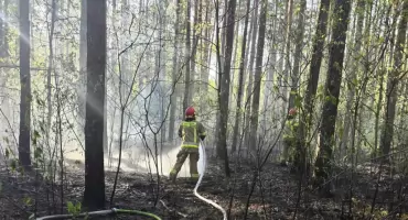 Spłonęło 90 arów lasu. Dogaszanie trwa do dziś