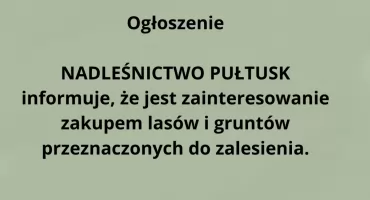 Ogłoszenie