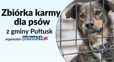 Zbiórka karmy dla piesków z Miejskiej Przechowalni! 