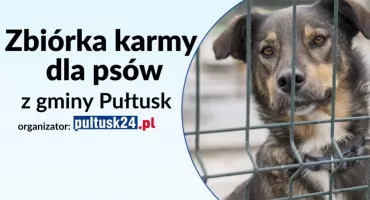 Trwa ZBIÓRKA KARMY dla psów z miejskiej przechowalni!