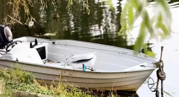Zimorodek – ptak o kolorach nieba i słońca na pułtuskim kanałku 