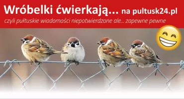 Wróbelki ćwierkają na Pultusk24