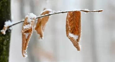  Nadciąga fala zimna. W weekend przymrozki i opady deszczu ze śniegiem 