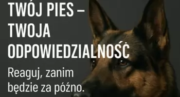 Twój pies pogryzie człowieka lub zwierzę? Możesz odpowiadać karnie