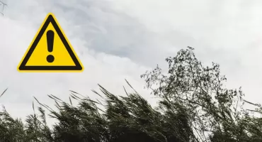 Ostrzeżenie IMGW przed silnym wiatrem w powiecie pułtuskim