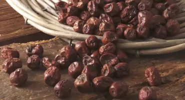 Jujuba. Wiesz co to jest? 