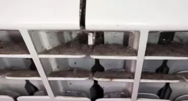 Prosty sposób na kurz na grzejniku — trzy akcesoria wystarczą 