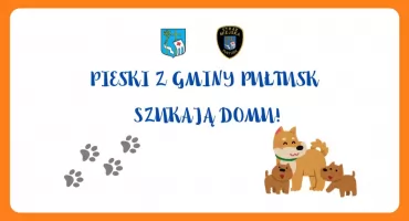 Wreszcie coś drgnęło w sprawie psów. Czy to początek potrzebnych zmian?