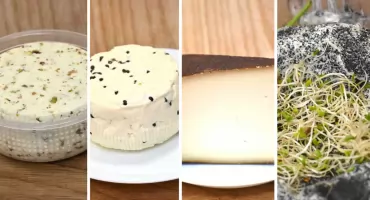 Dubaj, Marysia, jaszczur, popiołek i inne najlepsze sery na Mazowszu 