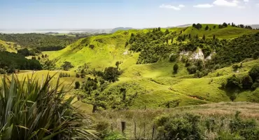 Egzotyczne podróże marzeń – gdzie warto polecieć, by przeżyć niezapomnianą przygodę?     