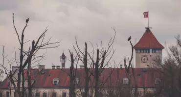  Dziś, wyjątkowo, zamiast wróbelków orły bieliki