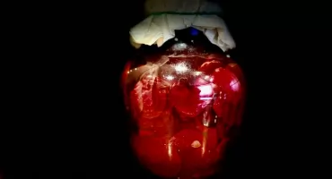 Rubinowy zakwas buraczany - smak Bożego Narodzenia od Czerwonych Korali