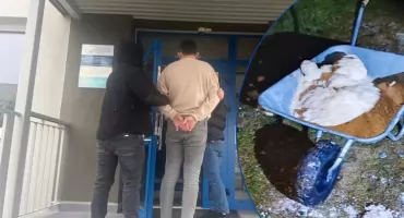 Narkotyki wywozili... budowlaną taczką. Fabryka amfetaminy ok. 40 km od Pułtuska 