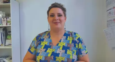 Czas Sylwestra to DRAMAT dla wszystkich ZWIERZĄT! Jak pomóc zwierzęciu przetrwać czas fajerwerków?