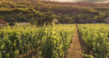 Najładniejsze nazwy miejscowości powiatu pułtuskiego według AI