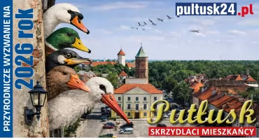 Ptasi challenge: skrzydlaci mieszkańcy Pułtusk i okolic. 01 - łabędź niemy.