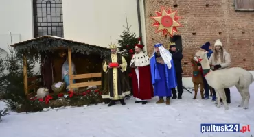 Alpaki na Orszaku Trzech Króli w Pułtusku – ile kosztowała ta atrakcja?