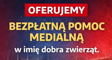 MUREM ZA PAZUREM! Oferujemy bezpłatną pomoc medialną w imię dobra zwierząt!
