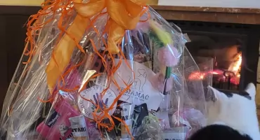 Anonimowy bohater pułtuskich kotów…POSZUKIWANY! POMÓŻCIE!