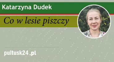 Co w lesie piszczy? … a co łączy się w pary?